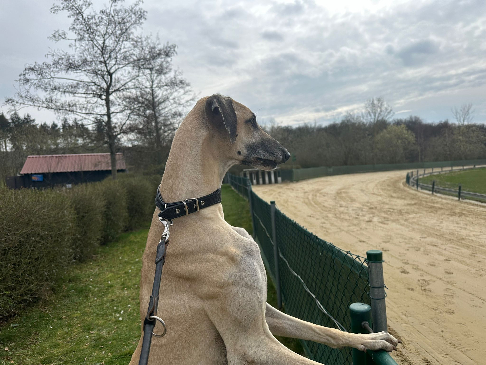 Saisonauftakt beim WRU